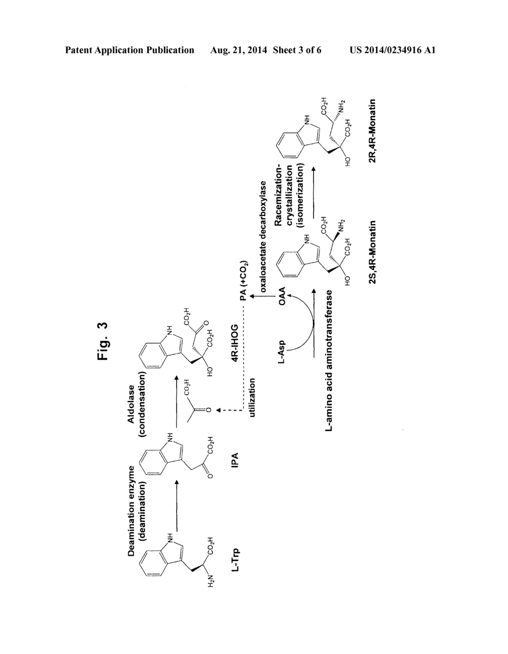 METHOD FOR PRODUCING MONATIN USING AN L-AMINO ACID AMINOTRANSFERASE - diagram, schematic, and image 04