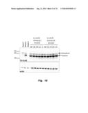 VARIANT THIOESTERASES AND METHODS OF USE diagram and image