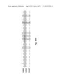 VARIANT THIOESTERASES AND METHODS OF USE diagram and image