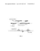 VARIANTS OF GLYCEROL DEHYDROGENASE HAVING D-LACTATE DEHYDROGENASE ACTIVITY     AND USES THEREOF diagram and image