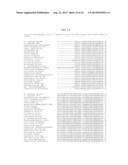 VARIANTS OF GLYCEROL DEHYDROGENASE HAVING D-LACTATE DEHYDROGENASE ACTIVITY     AND USES THEREOF diagram and image