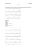 VARIANTS OF GLYCEROL DEHYDROGENASE HAVING D-LACTATE DEHYDROGENASE ACTIVITY     AND USES THEREOF diagram and image