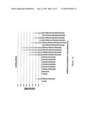 Novel Methods and Formulations for Orthopedic Cell Therapy diagram and image