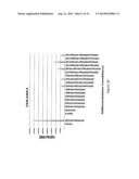 Novel Methods and Formulations for Orthopedic Cell Therapy diagram and image