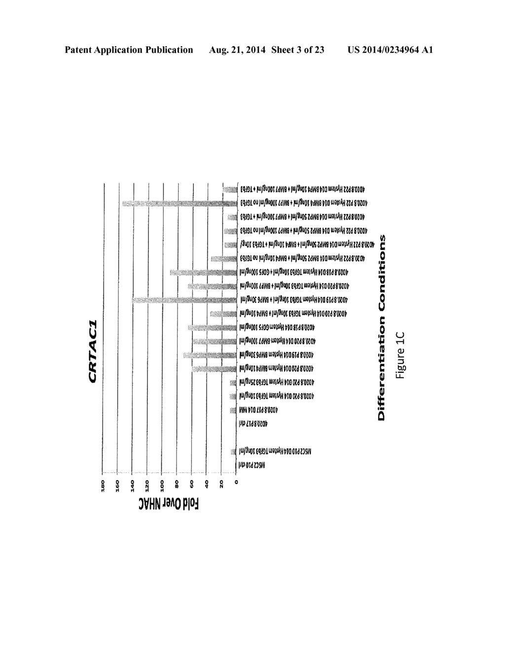 Novel Methods and Formulations for Orthopedic Cell Therapy - diagram, schematic, and image 04