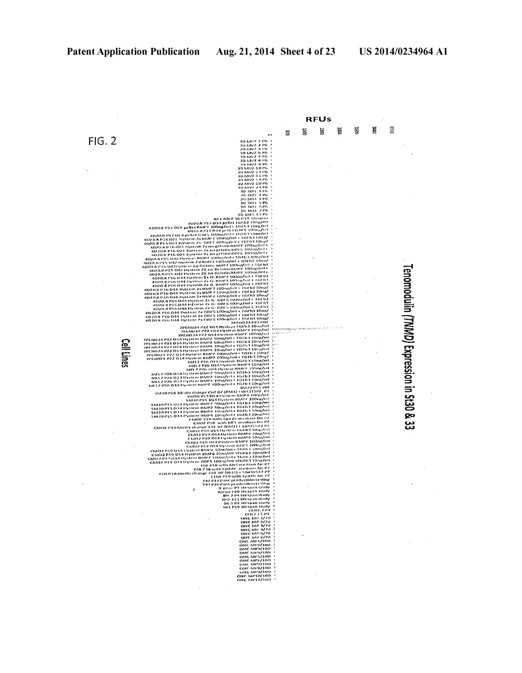 Novel Methods and Formulations for Orthopedic Cell Therapy - diagram, schematic, and image 05