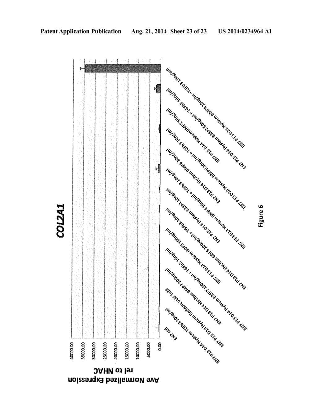 Novel Methods and Formulations for Orthopedic Cell Therapy - diagram, schematic, and image 24