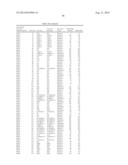 Novel Methods and Formulations for Orthopedic Cell Therapy diagram and image