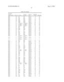 Novel Methods and Formulations for Orthopedic Cell Therapy diagram and image