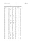 Novel Methods and Formulations for Orthopedic Cell Therapy diagram and image