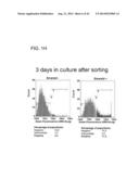 METHODS FOR ENHANCING GENOME STABILITY AND TELOMERE ELONGATION IN     EMBRYONIC STEM CELLS diagram and image