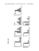 METHODS FOR ENHANCING GENOME STABILITY AND TELOMERE ELONGATION IN     EMBRYONIC STEM CELLS diagram and image