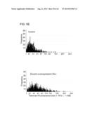 METHODS FOR ENHANCING GENOME STABILITY AND TELOMERE ELONGATION IN     EMBRYONIC STEM CELLS diagram and image