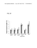 METHODS FOR ENHANCING GENOME STABILITY AND TELOMERE ELONGATION IN     EMBRYONIC STEM CELLS diagram and image