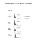 METHODS FOR ENHANCING GENOME STABILITY AND TELOMERE ELONGATION IN     EMBRYONIC STEM CELLS diagram and image