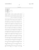 METHODS FOR ENHANCING GENOME STABILITY AND TELOMERE ELONGATION IN     EMBRYONIC STEM CELLS diagram and image