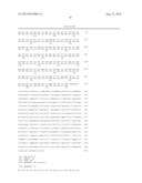 METHODS FOR ENHANCING GENOME STABILITY AND TELOMERE ELONGATION IN     EMBRYONIC STEM CELLS diagram and image