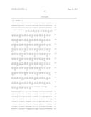 METHODS FOR ENHANCING GENOME STABILITY AND TELOMERE ELONGATION IN     EMBRYONIC STEM CELLS diagram and image