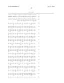 METHODS FOR ENHANCING GENOME STABILITY AND TELOMERE ELONGATION IN     EMBRYONIC STEM CELLS diagram and image