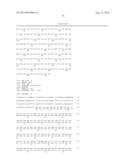 METHODS FOR ENHANCING GENOME STABILITY AND TELOMERE ELONGATION IN     EMBRYONIC STEM CELLS diagram and image