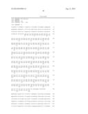 METHODS FOR ENHANCING GENOME STABILITY AND TELOMERE ELONGATION IN     EMBRYONIC STEM CELLS diagram and image