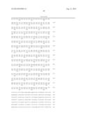 METHODS FOR ENHANCING GENOME STABILITY AND TELOMERE ELONGATION IN     EMBRYONIC STEM CELLS diagram and image