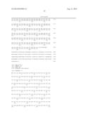 METHODS FOR ENHANCING GENOME STABILITY AND TELOMERE ELONGATION IN     EMBRYONIC STEM CELLS diagram and image