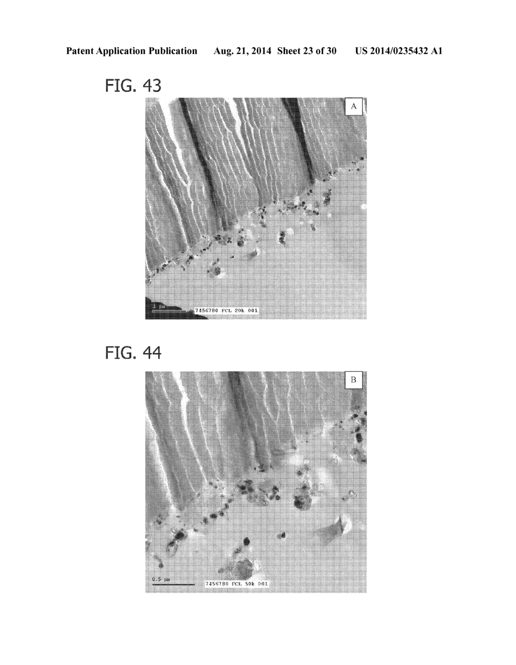 Transition Metal-Containing Catalysts and Processes for Their Preparation     and Use As Oxidation and Dehydrogenation Catalysts - diagram, schematic, and image 24