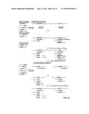 Methods and Compositions for Identifying Global Microsatellite Instability     and for Characterizing Informative Microsatellite Loci diagram and image