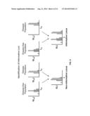 Methods and Compositions for Identifying Global Microsatellite Instability     and for Characterizing Informative Microsatellite Loci diagram and image