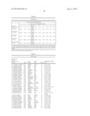 Methods and Compositions for Identifying Global Microsatellite Instability     and for Characterizing Informative Microsatellite Loci diagram and image