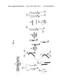 QUANTITATIVE NUCLEASE PROTECTION ASSAY (QNPA) AND SEQUENCING (QNPS)     IMPROVEMENTS diagram and image