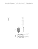 QUANTITATIVE NUCLEASE PROTECTION ASSAY (QNPA) AND SEQUENCING (QNPS)     IMPROVEMENTS diagram and image