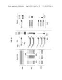 QUANTITATIVE NUCLEASE PROTECTION ASSAY (QNPA) AND SEQUENCING (QNPS)     IMPROVEMENTS diagram and image