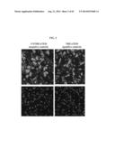 HIGH THROUGHPUT MINIATURIZED ASSAY SYSTEM AND METHODS diagram and image