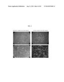 HIGH THROUGHPUT MINIATURIZED ASSAY SYSTEM AND METHODS diagram and image