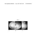 HIGH THROUGHPUT MINIATURIZED ASSAY SYSTEM AND METHODS diagram and image