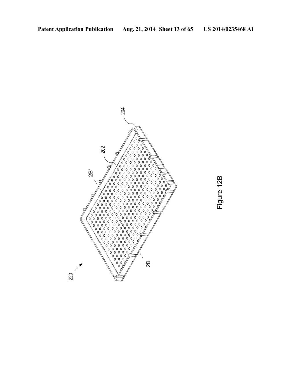 HIGH THROUGHPUT MINIATURIZED ASSAY SYSTEM AND METHODS - diagram, schematic, and image 14