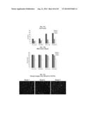 HIGH THROUGHPUT MINIATURIZED ASSAY SYSTEM AND METHODS diagram and image