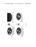 HIGH THROUGHPUT MINIATURIZED ASSAY SYSTEM AND METHODS diagram and image