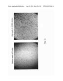 HIGH THROUGHPUT MINIATURIZED ASSAY SYSTEM AND METHODS diagram and image