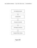 HIGH THROUGHPUT MINIATURIZED ASSAY SYSTEM AND METHODS diagram and image