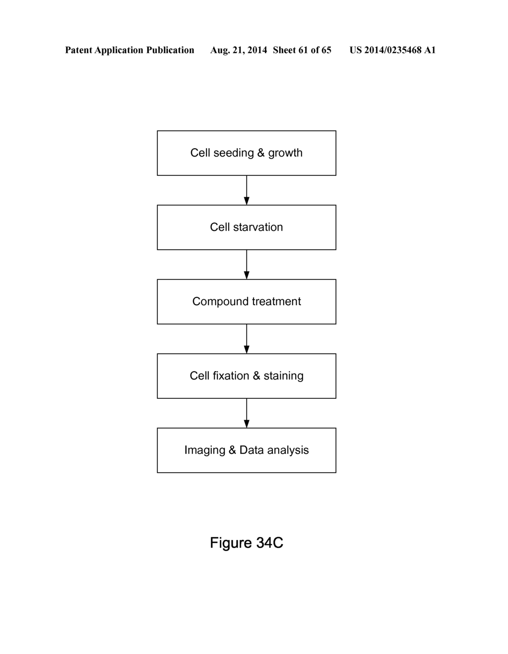 HIGH THROUGHPUT MINIATURIZED ASSAY SYSTEM AND METHODS - diagram, schematic, and image 62