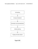 HIGH THROUGHPUT MINIATURIZED ASSAY SYSTEM AND METHODS diagram and image