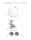 Measurement and Comparison of Immune Diversity by High-Throughput     Sequencing diagram and image