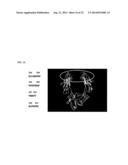 IMMUNOGLOBULIN FC POLYPEPTIDES diagram and image