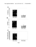 MICRORNA PATTERNS FOR THE DIAGNOSIS, PROGNOSIS AND TREATMENT OF MELANOMA diagram and image