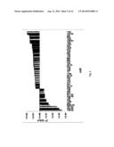 MICRORNA PATTERNS FOR THE DIAGNOSIS, PROGNOSIS AND TREATMENT OF MELANOMA diagram and image