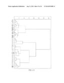 MICRORNA PATTERNS FOR THE DIAGNOSIS, PROGNOSIS AND TREATMENT OF MELANOMA diagram and image