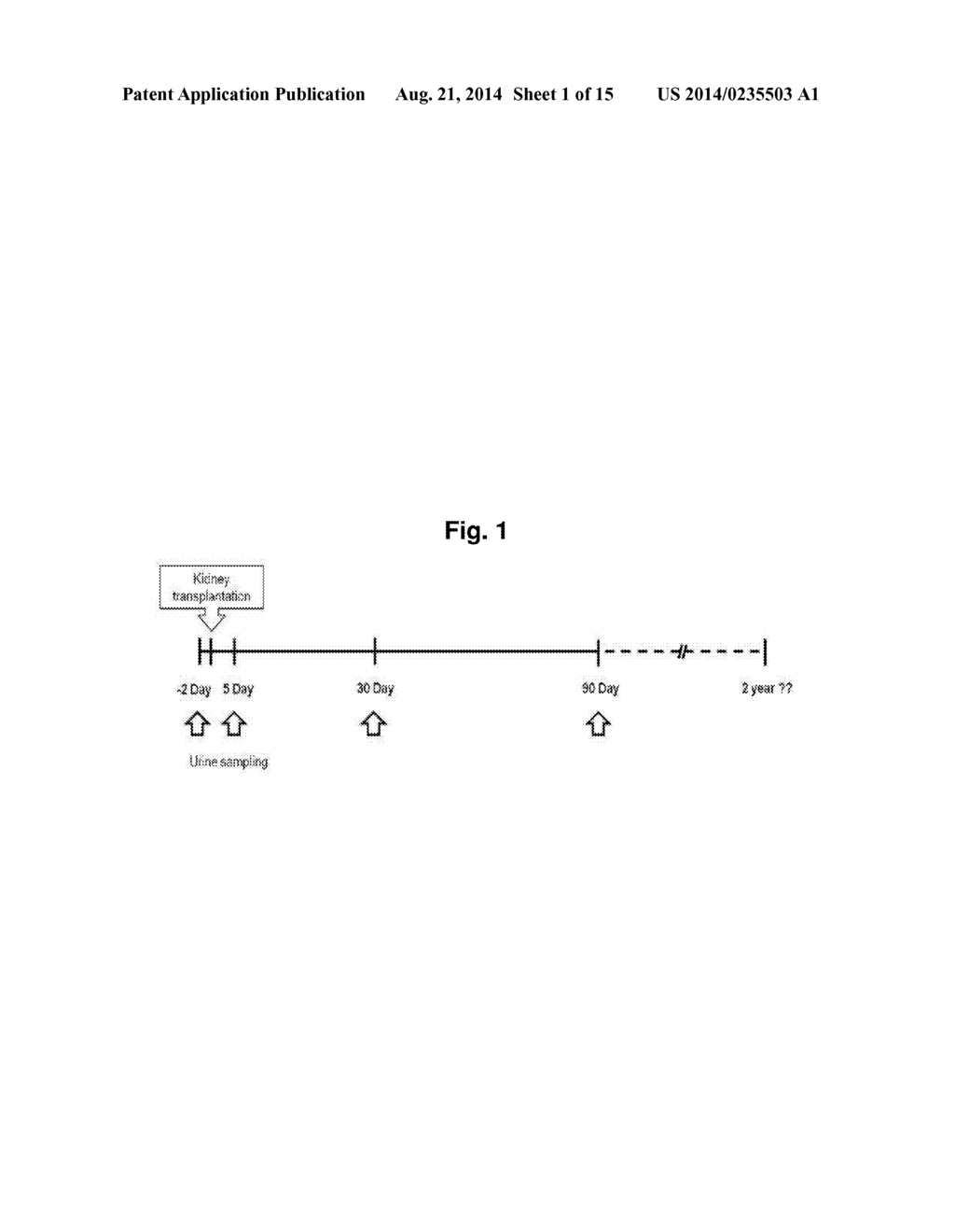 PREDICTION METHOD OF GLOMERULAR FILTRATION RATE FROM URINE SAMPLES AFTER     KIDNEY TRANSPLANTATION - diagram, schematic, and image 02